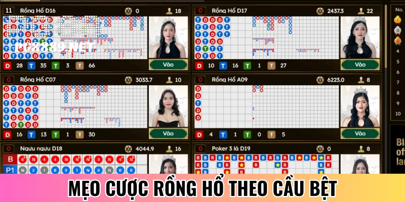 Bí quyết cược Rồng Hổ theo cầu bệt
