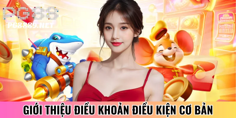 Giới thiệu cơ bản điều khoản điều kiện