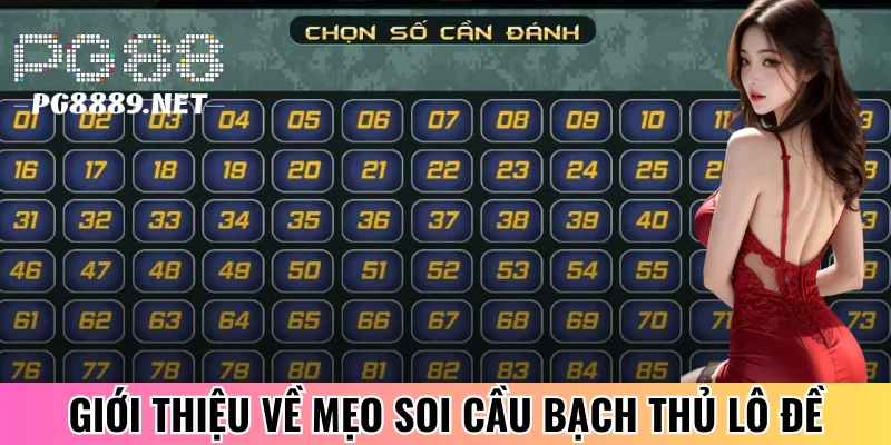 Giới thiệu đôi nét bạch thủ lô