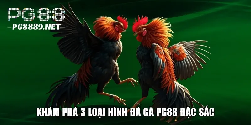 Tìm hiểu 3 loại hình đá gà PG88 đặc sắc